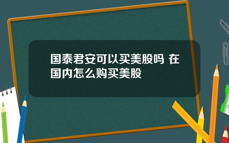 国泰君安可以买美股吗 在国内怎么购买美股